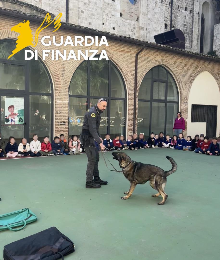 Le Fiamme gialle del Piceno intensificano i controlli antidroga a tutela dei più giovani