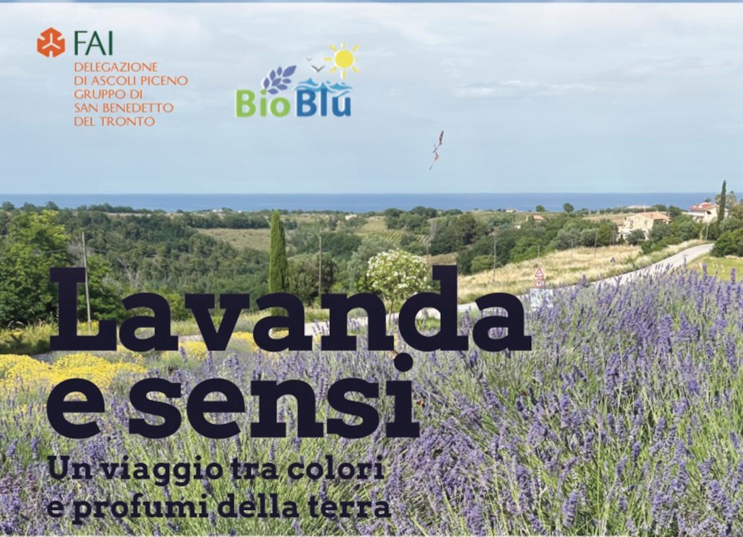 Lavanda e Sensi: a Massignano un viaggio tra colori e profumi della terra insieme al FAI e all’azienda agricola biologica Bio-Blu