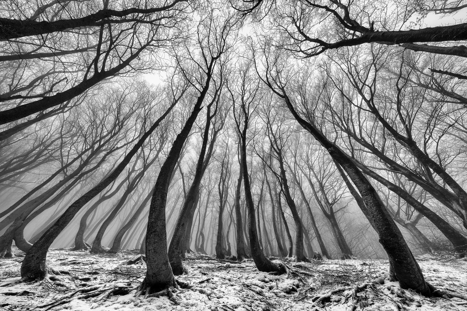 Cinque premi internazionali per Photonica3