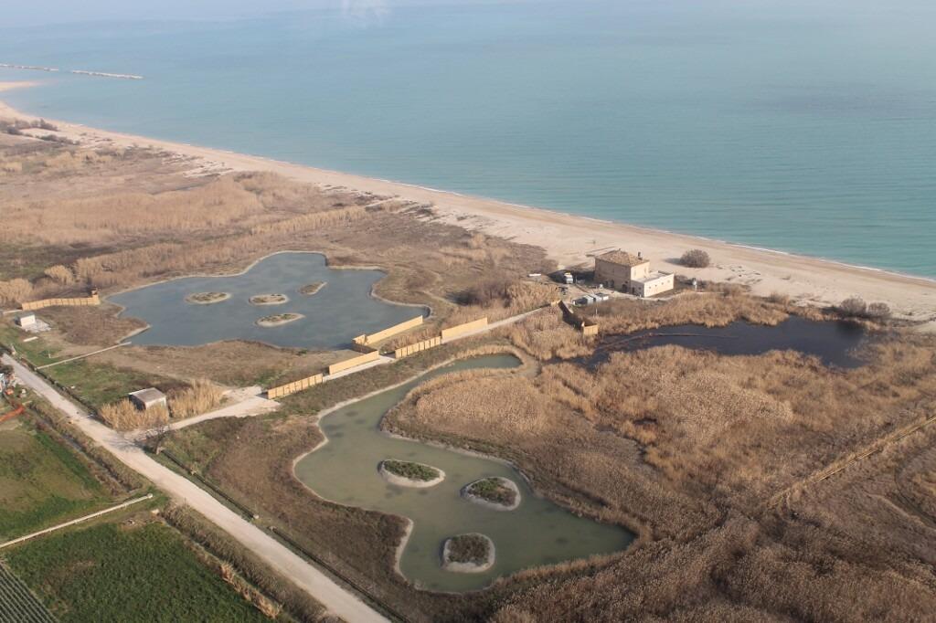 Il mare della Sentina è di nuovo tutto balneabile