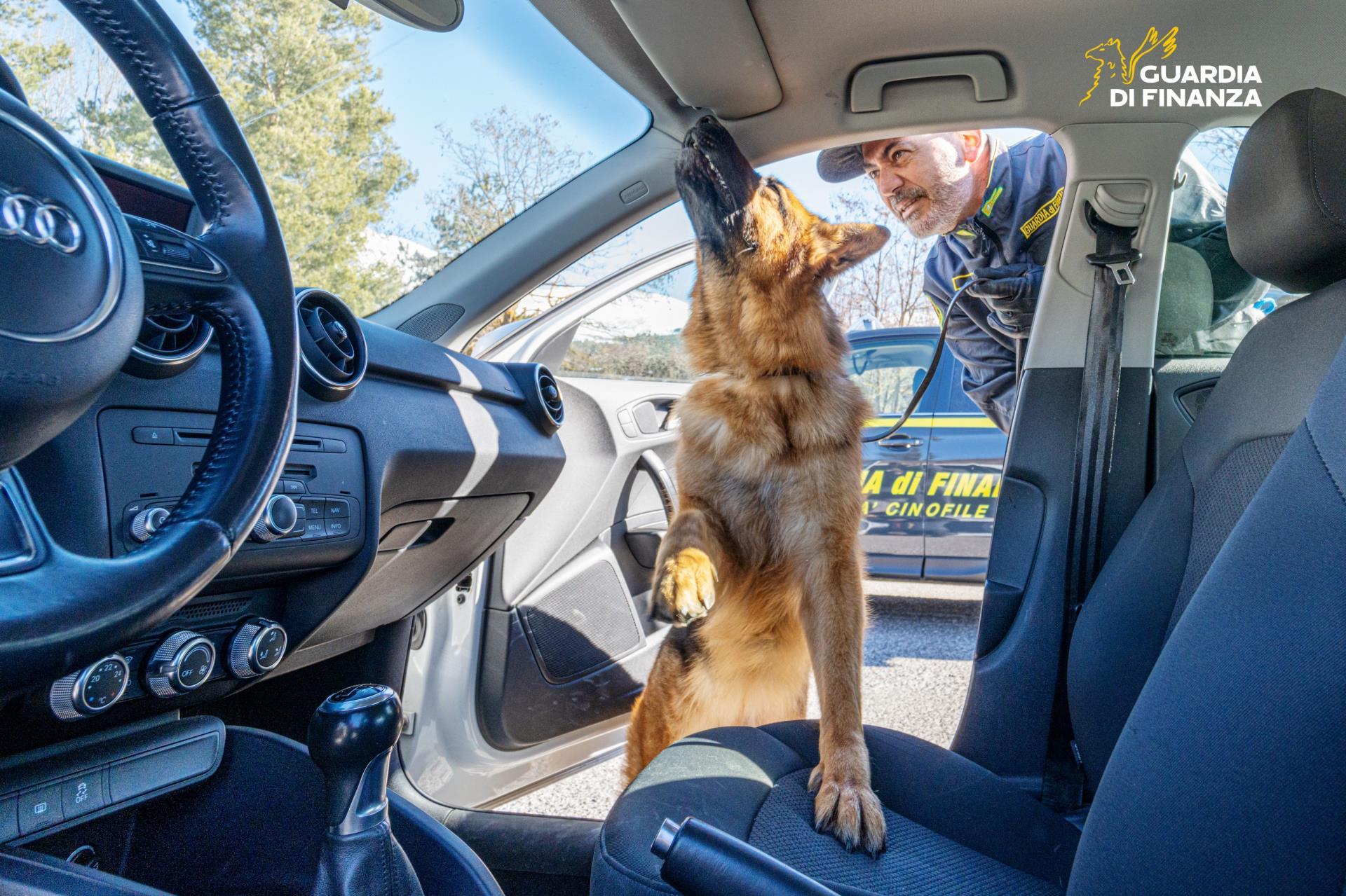 Le Fiamme gialle anno arrestato un pluripregiudicato con oltre 35 grammi di cocaina