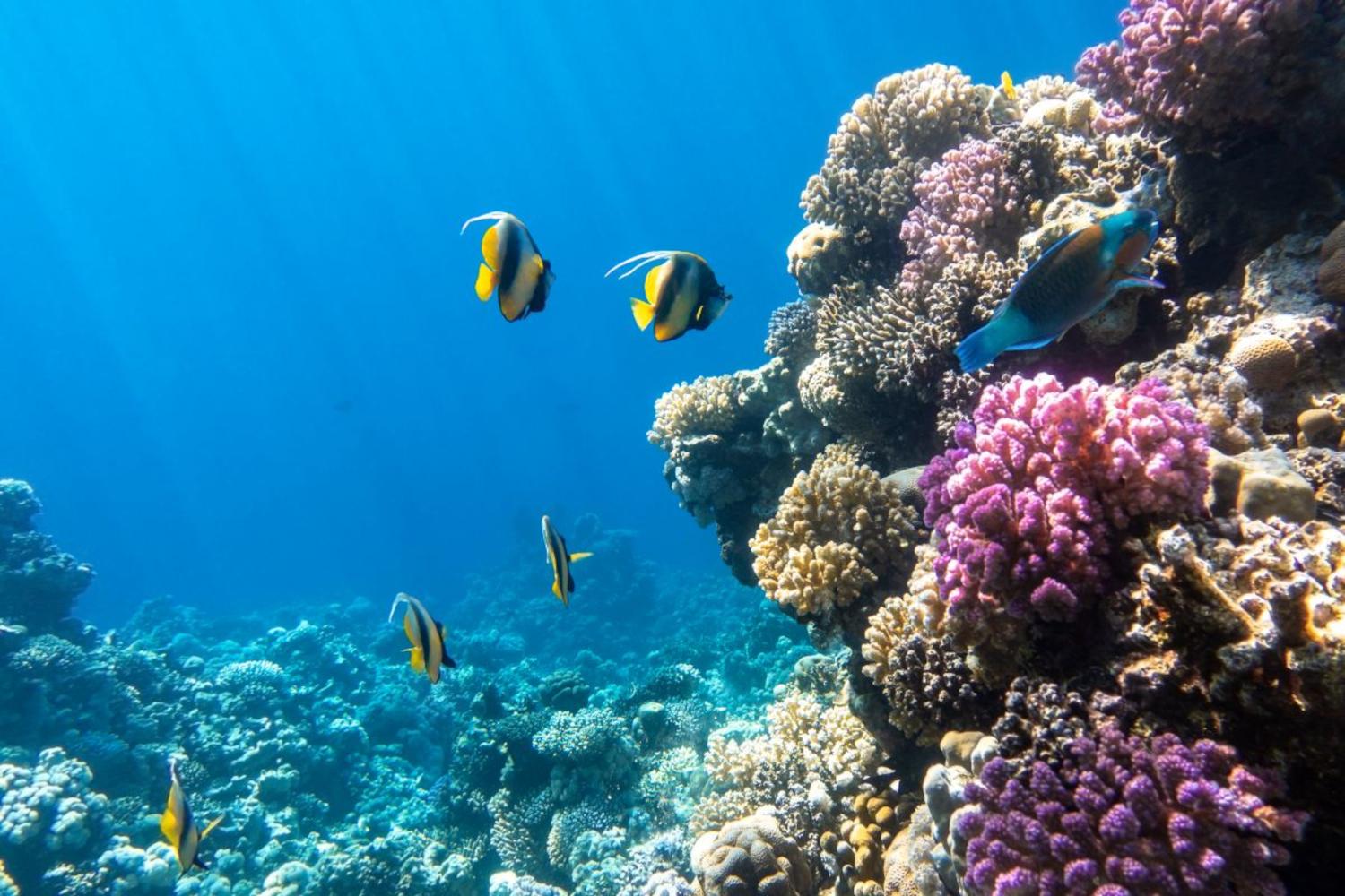 8 Luglio: Giornata mondiale del Mar Mediterraneo