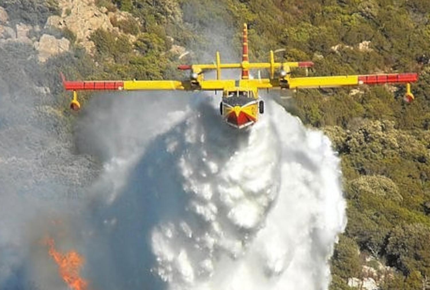 Niente grandi incendi nei boschi marchigiani nel 2025. UNCEM Marche: «La montagna viva è il miglior presidio del territorio»