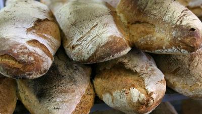 Panificio chiuso dal Nas, trovato insetto in pane per ospedale