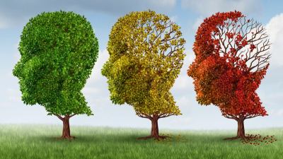 Alzheimer, Up–tech, progetto a sostegno di famiglie malati