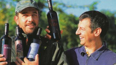 Morellone - Le Caniette incoronato 'Tre bicchieri' 2015