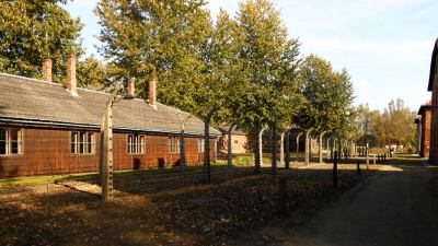 Liberazione di Auschwitz, 'Open Day della Memoria'