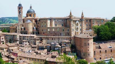 Donna muore a Urbino schiacciata da un albero