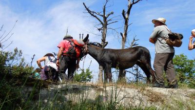 Il Festival dell'Appennino approda in Abruzzo