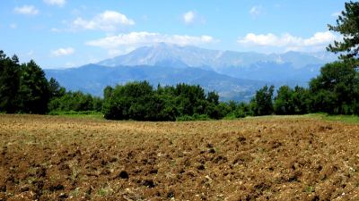 Associazioni dell'ambiente: 