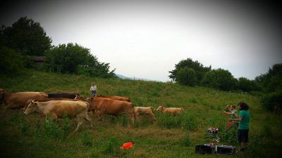 Festival dell'Appennino, 