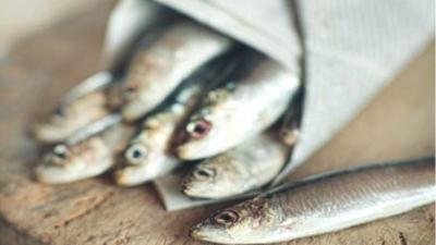 'Fish & Cheap: Sostenibile, Locale e Fresco'