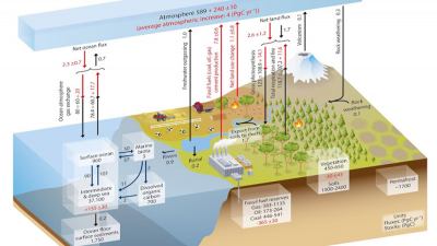 Accordo sul Clima: Il paziente sarà resiliente?