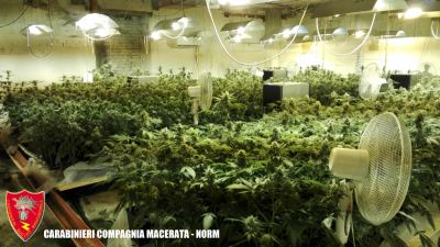 I carabinieri hanno sequestrato 108 chili di marijuana, arrestato un cinquantenne