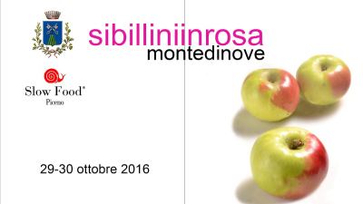 Settima edizione di 'Sibillini in rosa'