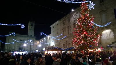 L'albero della Bosch illuminato per un Natale scaccia terremoto