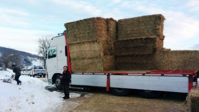 Solidarietà agli allevatori terremotati: fieno, paglia e mangimi per 39 aziende zootecniche