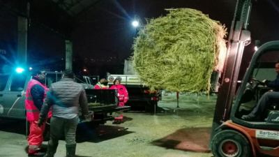 Terremoto e stalle, la Regione in attesa degli esiti degli accertamenti