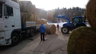 Catena di solidarietà verso gli allevatori terremotati con donazioni di fieno, paglia e mangime