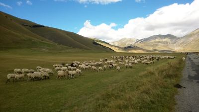 Pasquetta, tempo incerto ma a Castelluccio di Norcia gli agricoltori seminano la lenticchia