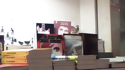 Contro il bollente Lucifero un passero 'colto' si è infilato da Rinascita, tanti libri da sbirciare e aria condizionata