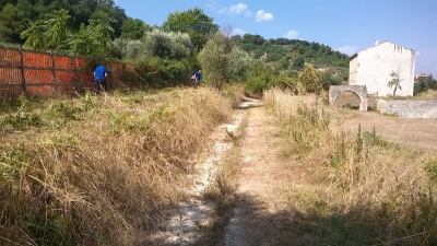 Ama Aquilone: al via i nuovi progetti della Regione Marche dedicati a formazione ed inclusione socio-lavorativa