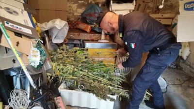 Le Fiamme gialle sequestrano oltre 4,5 kg di marijuana