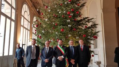 L'albero di Natale di Acquasanta Terme alla Presidenza della Repubblica