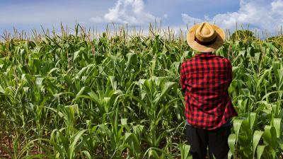 Agricoltura sostenibile, convegno della Confederazione agricoltori su 'Il futuro della Pac'