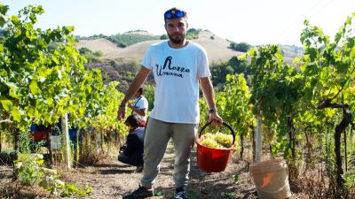 Ama Aquilone per il tuo Servizio Civile Nazionale: 4 i posti disponibili per il progetto dedicato all’Agricoltura Sociale