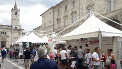 Ascoliva Festival, gara delle massaie poi la visita dell’Ascoli Calcio con l’assegnazione del 'Premio Ascoliva 2018'