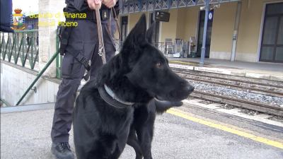 Eroina e marijuana, le Fiamme gialle arrestano due persone e sequestrano oltre mezzo chilo di stupefacenti