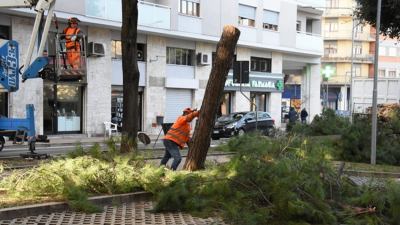 Iniziati i lavori di manutenzione di via Benedetto Croce dalla rotatoria di via Guglielmo  Marconi all’incrocio di via Gorizia