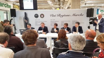 Le Marche al Vinitaly con il 50° del Bianchello del Metauro e il meglio della produzione regionale