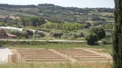 Orto in affitto in zona Valdaso