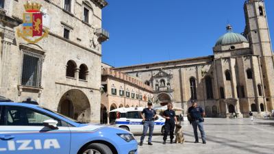 Nasconde roba in casa: arrestato dai poliziotti con l'aiuto del cane antidroga