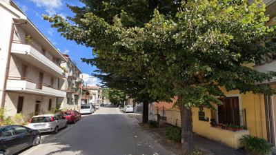 Potatura e abbattimento essenze arboree in via delle Zeppelle