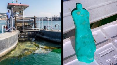 Il Pelikan pesca un flacone di plastica vecchio di 50 anni