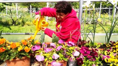 'Ci Vuole Un Fiore': un progetto promosso dall’ANFFAS di Ascoli Piceno che realizzato insieme alla Fondazione Cassa di Risparmio di Ascoli Piceno