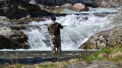 La Giunta regionale approva il Calendario di pesca 2021. Carloni: 'Il prelievo della trota dal 18 aprile, se le prescrizioni Covid lo consentiranno'